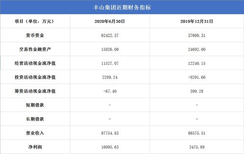 豐山集團投資回報高,熱衷高風險理財產品